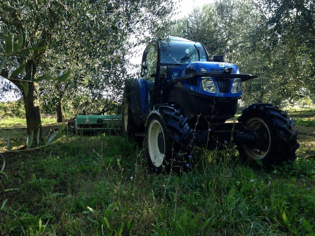 Fattoria Lucciano Vila Borghetto  Exterior foto