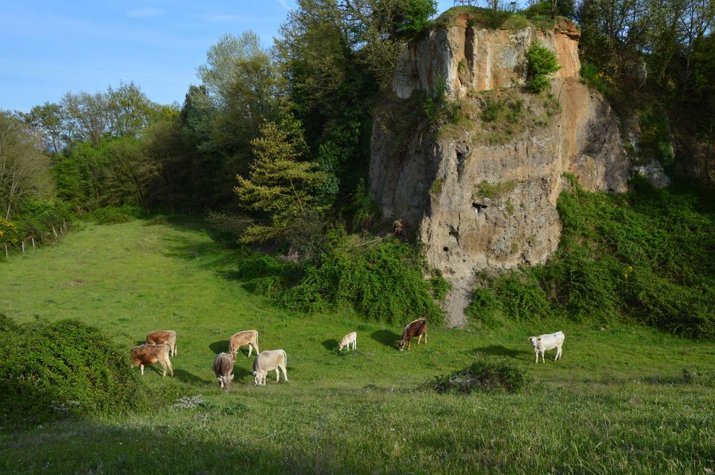 Fattoria Lucciano Vila Borghetto  Exterior foto