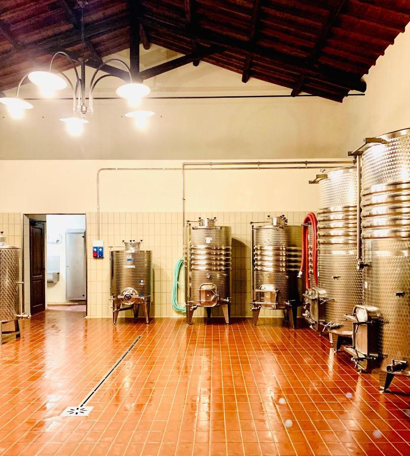 Fattoria Lucciano Vila Borghetto  Exterior foto